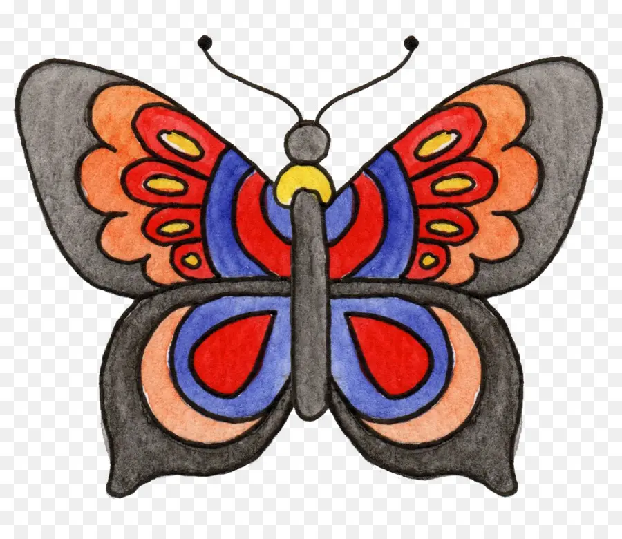 Papillon Coloré，Ailes PNG