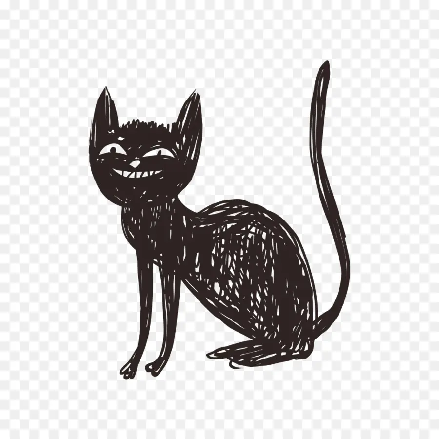 Chat De Croquis，Noir PNG