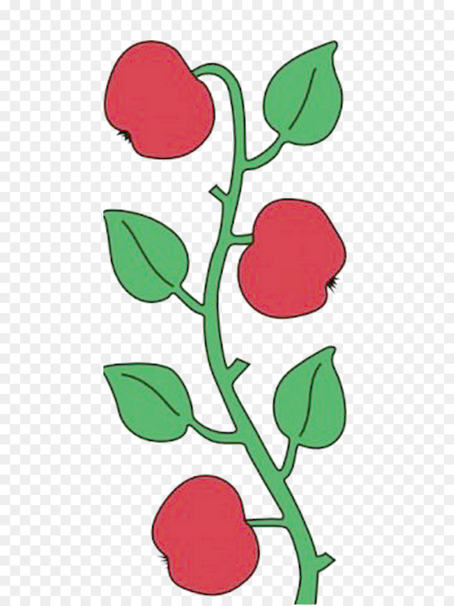 Dessin De Branche De Pomme，Feuilles PNG