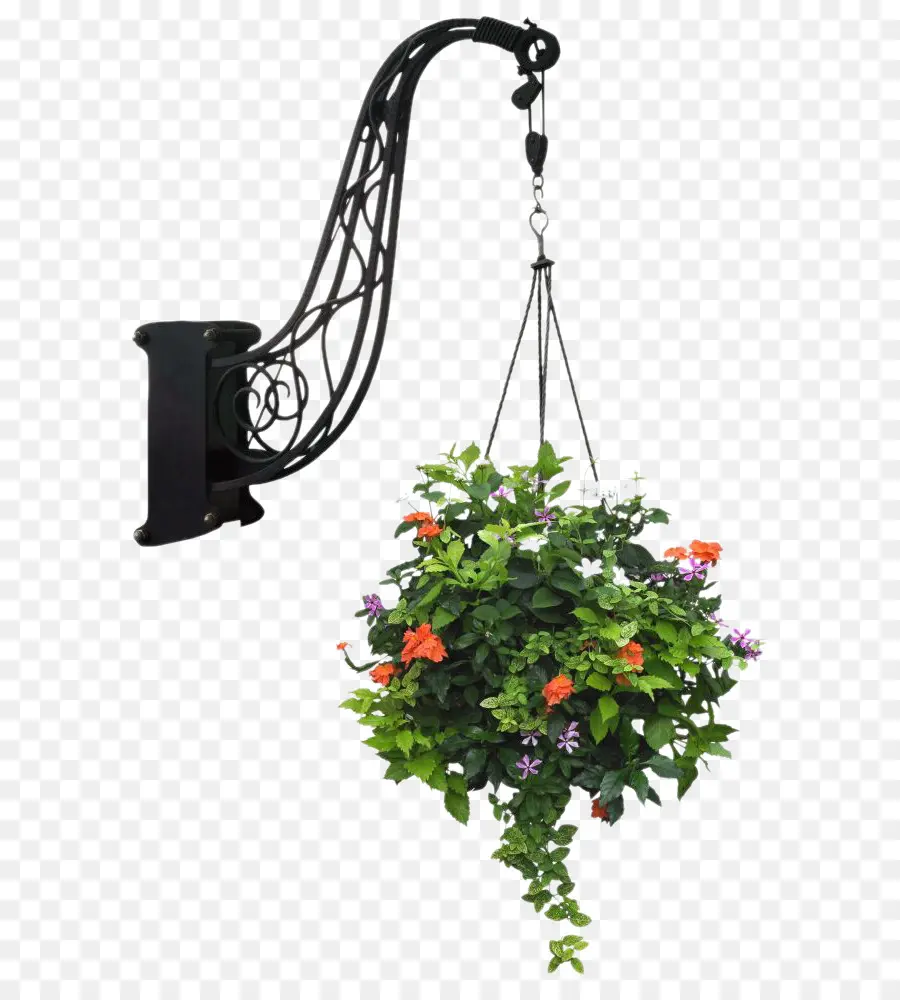 Panier De Fleurs Suspendu，Cintre PNG