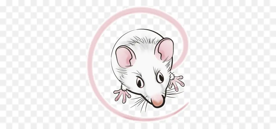 Souris Blanche，Mignon PNG