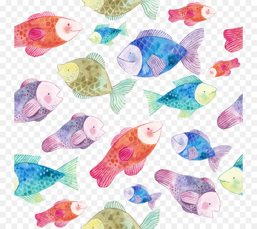 Poisson Aquarelle，Art PNG