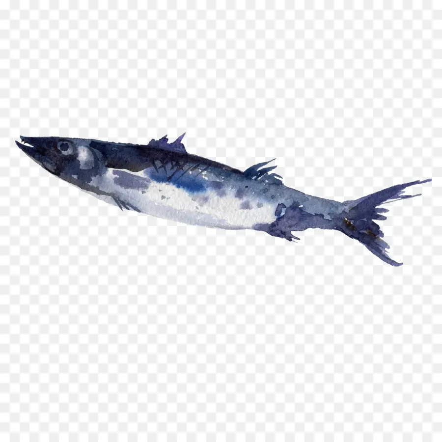 Poisson Bleu，Aquatique PNG