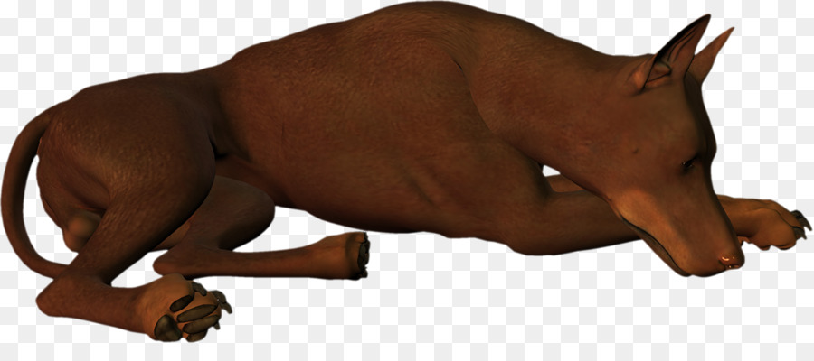 Chien Marron，Animal De Compagnie PNG