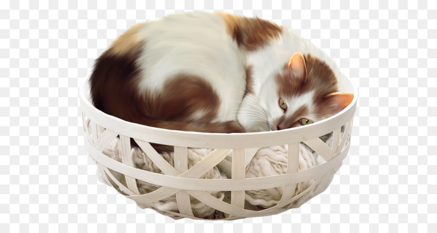 Chat Dans Le Panier，Panier PNG