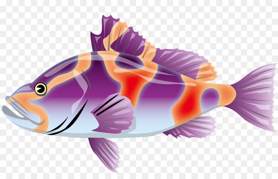 Poisson Orange，Aquatique PNG