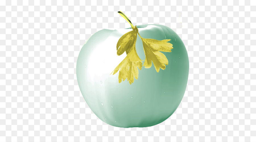 Pomme，Télécharger PNG