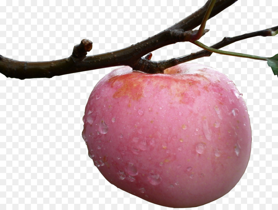 Pomme，Rouge PNG