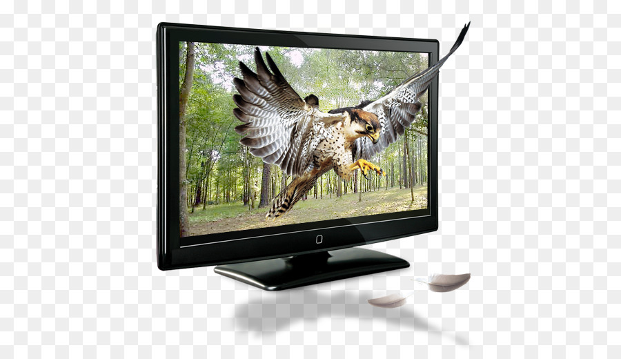 Télévision 3d Avec Hawk，Télévision PNG