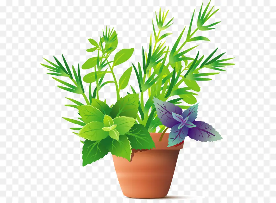 Herbe，Plante PNG