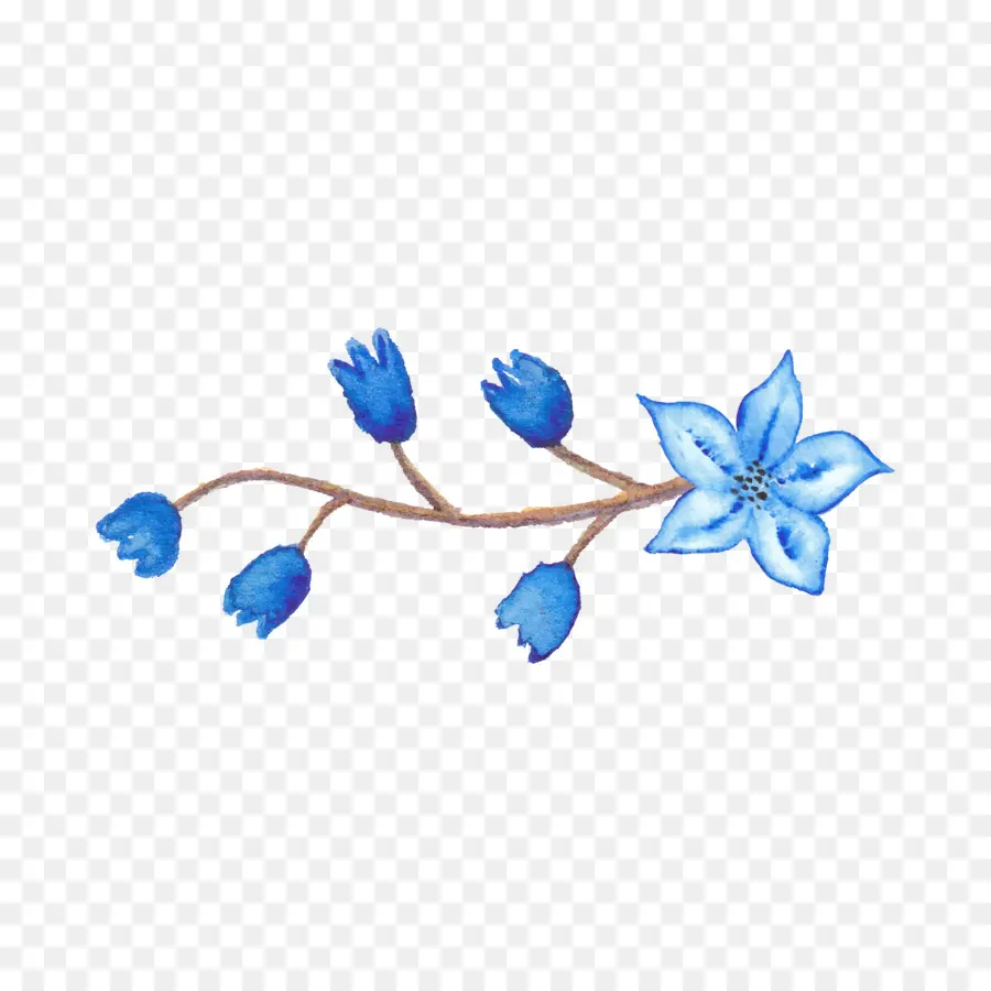 Bleu，Fleur Bleue PNG