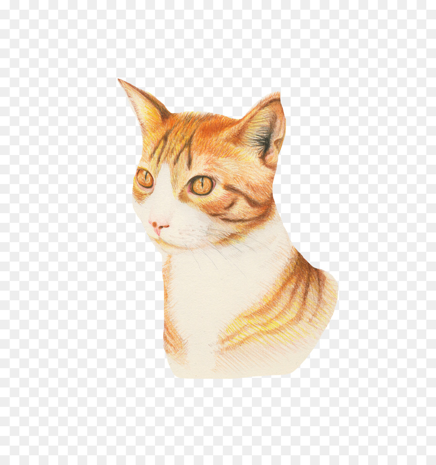 Chat，Félin PNG