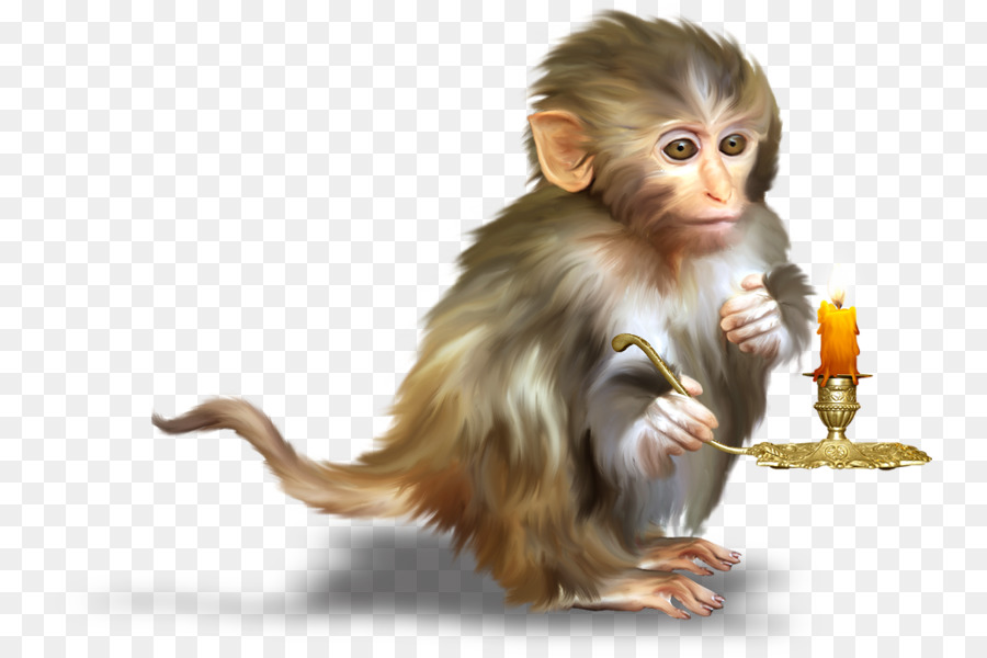 Singe Avec Bougie，Bougie PNG