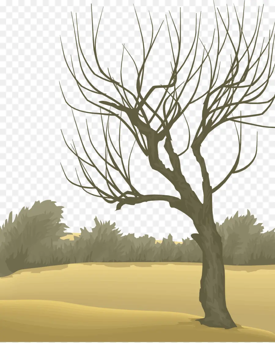 Arbre Nu，Hiver PNG