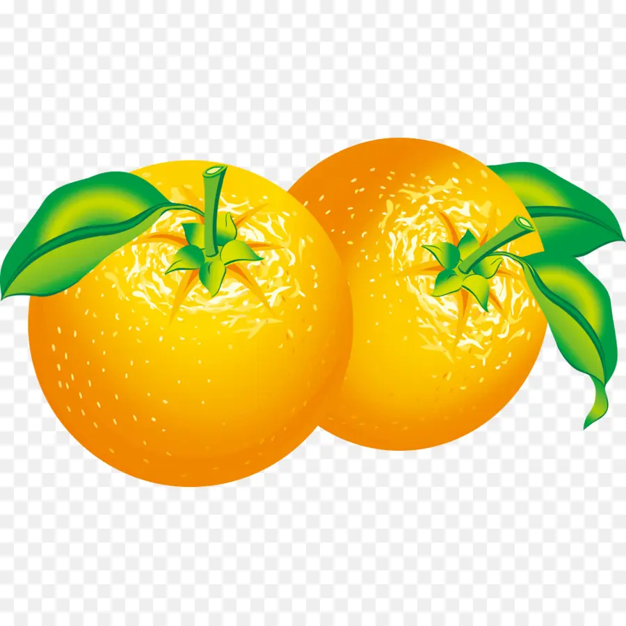 Orange，Agrumes PNG