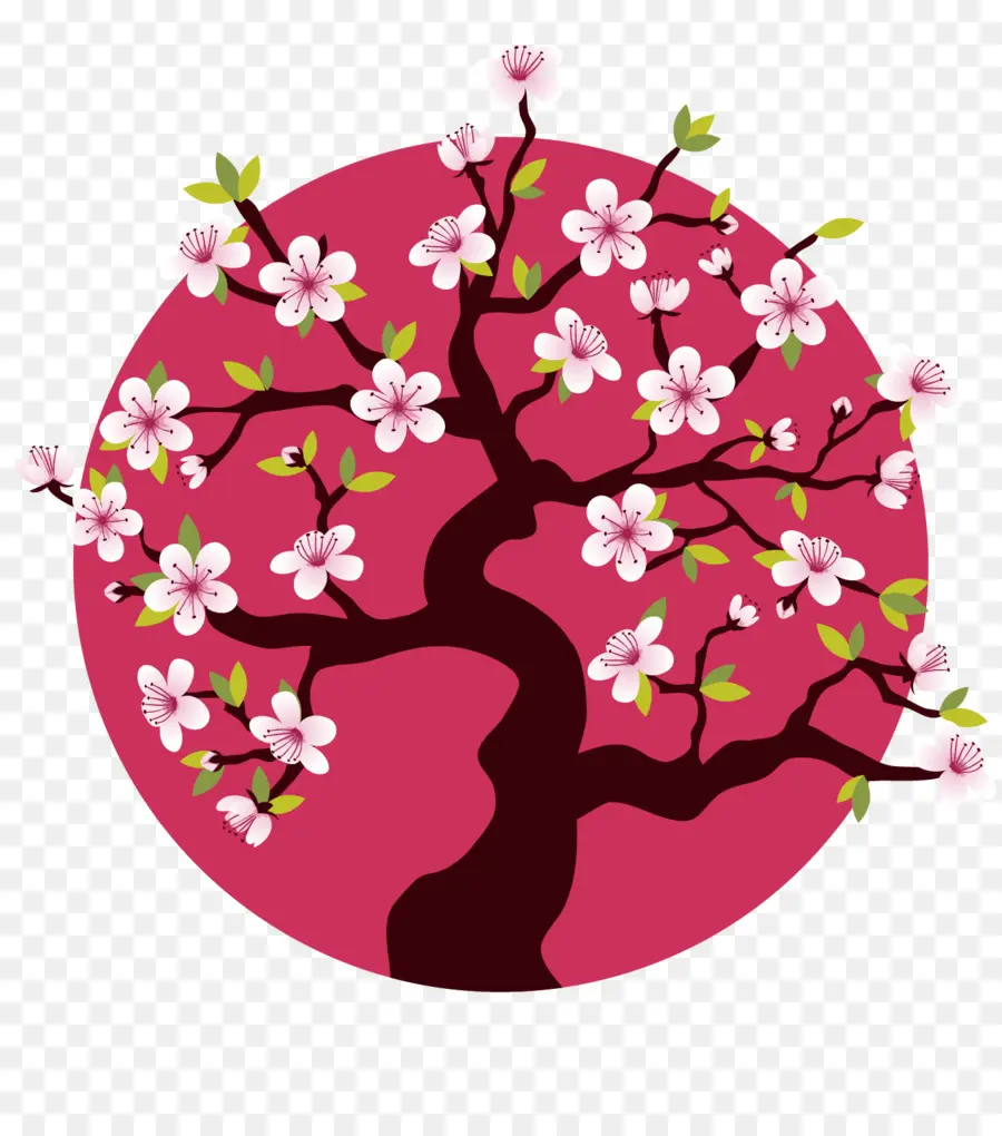 Fleur De Cerisier，Fleurir PNG