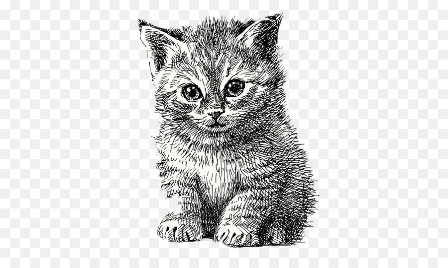 Dessin De Chaton，Mignon PNG