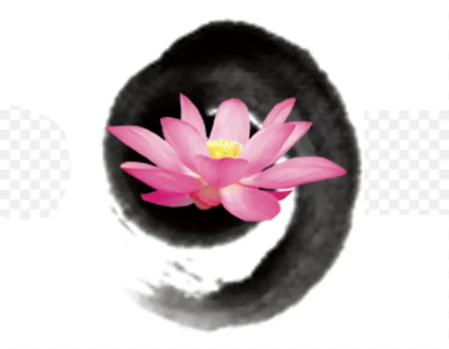 Lotus Rose，Cercle Noir PNG