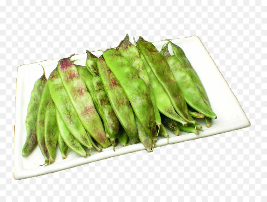 Haricots Verts，Plaque PNG