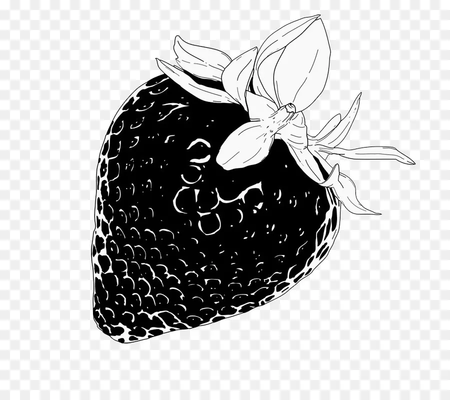 Fraise Noire Et Blanche，Contour PNG