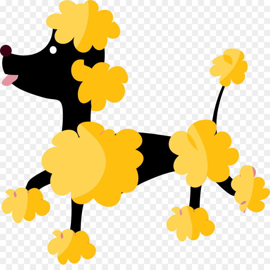 Caniche，Chien PNG