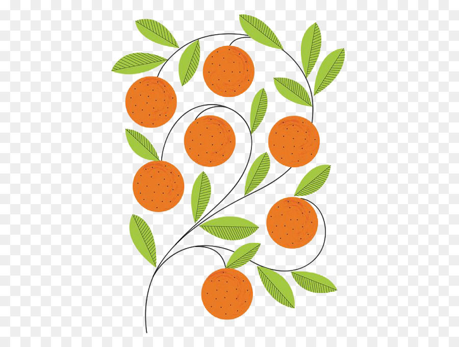 Oranger，Fruit PNG