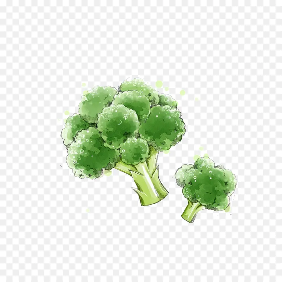 Brocoli，Légumes PNG
