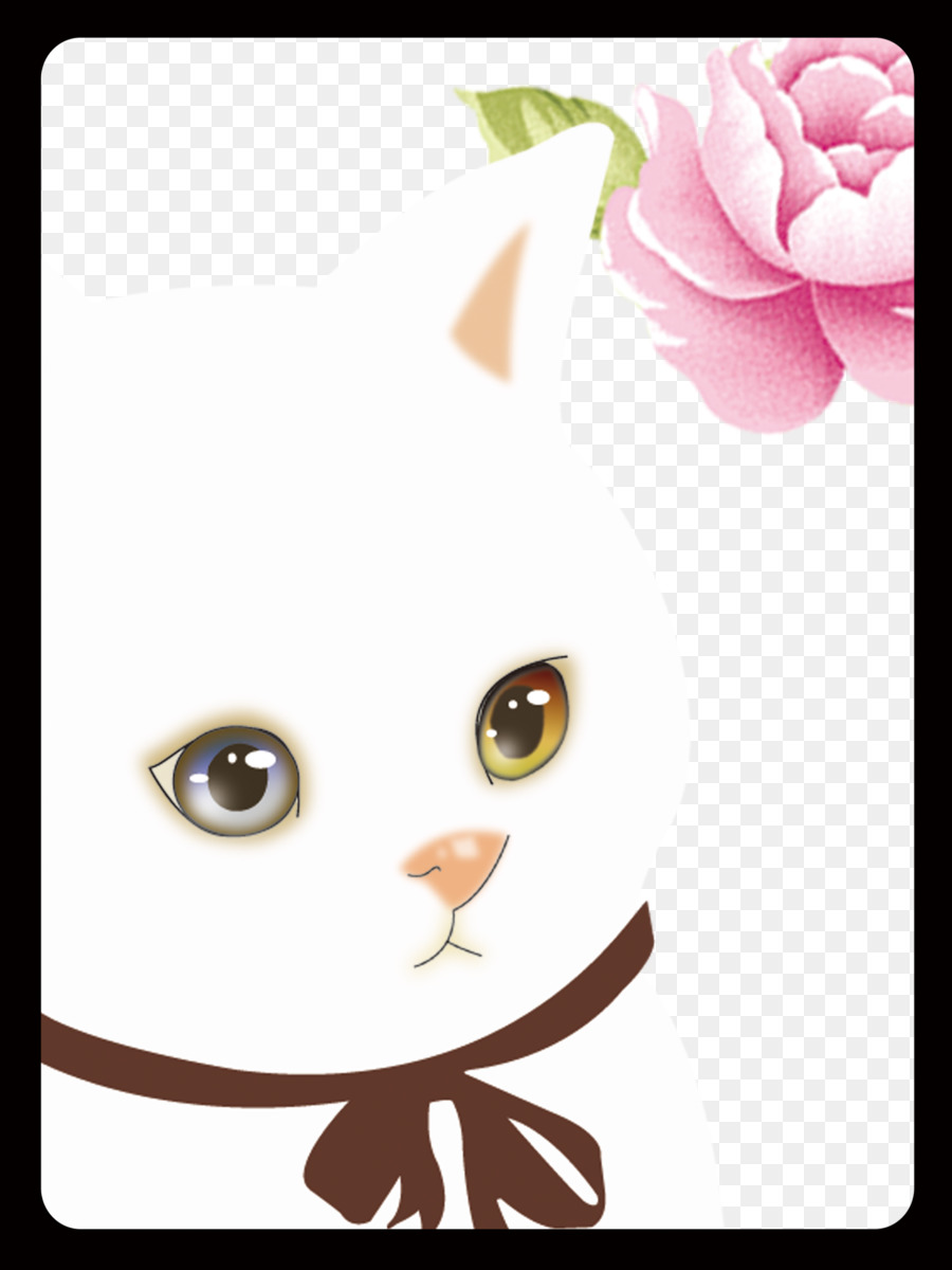 Chaton，Moustaches PNG