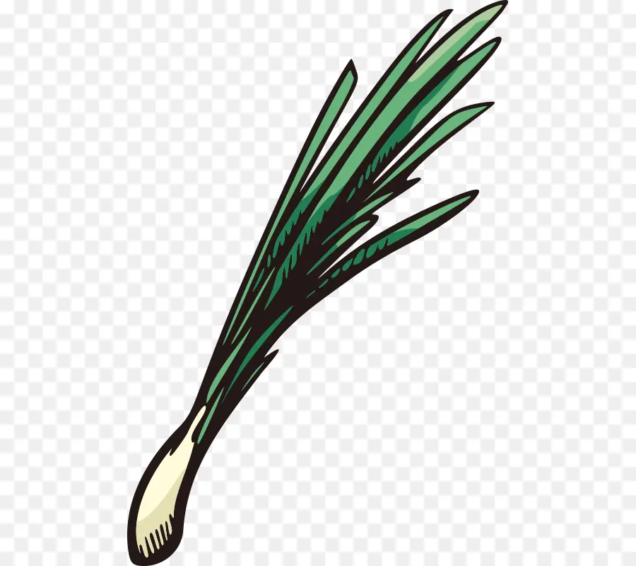 Légume，Scallion PNG