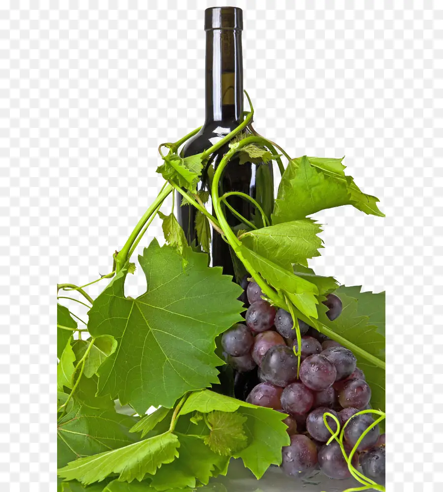 Bouteille De Vin，Raisins PNG