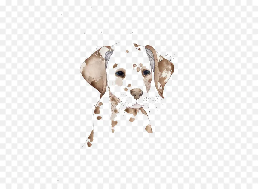 Dalmatien Chien，Peinture à L Aquarelle PNG