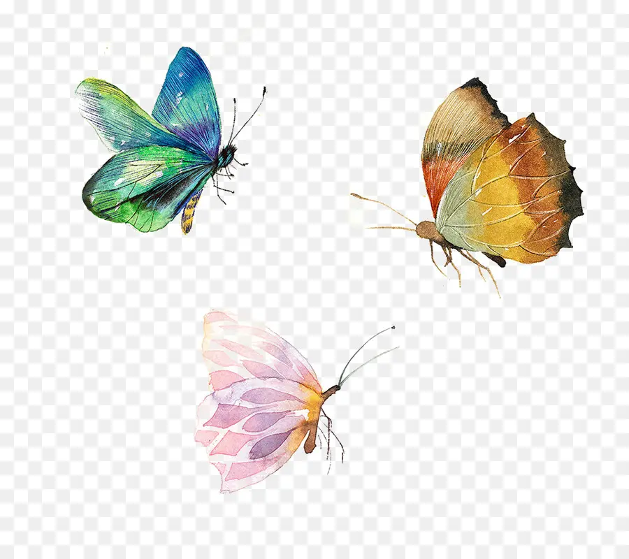 Papillons Et Fleurs，Coloré PNG