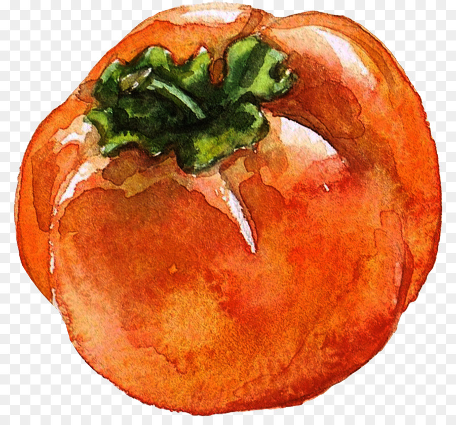 Tomate，Légume PNG