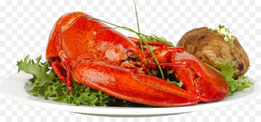 Homard Thermidor，Homard PNG