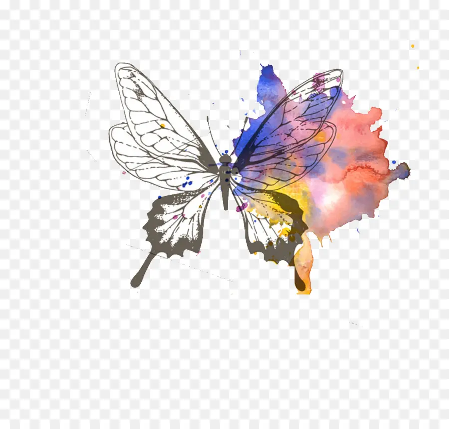 Papillon，Coloré PNG