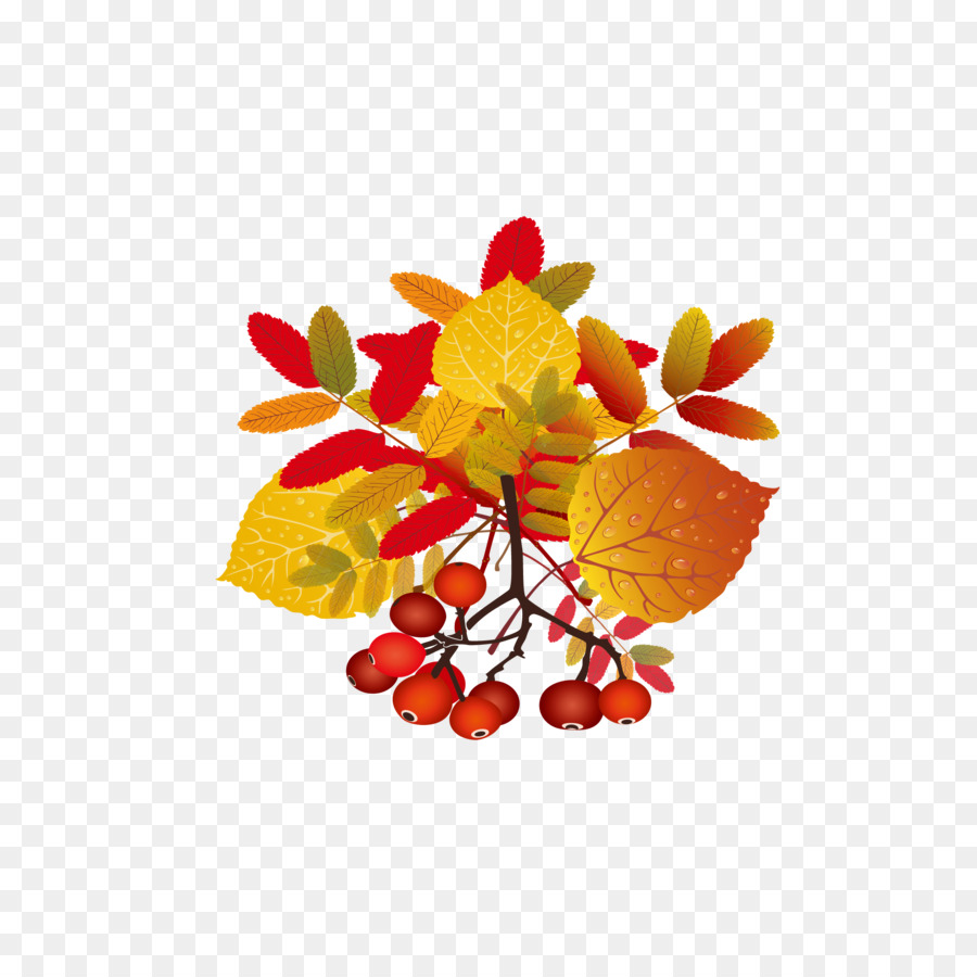 Automne，Feuille PNG