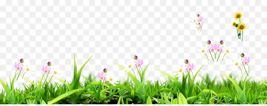 Bordure De Fleurs，Herbe PNG