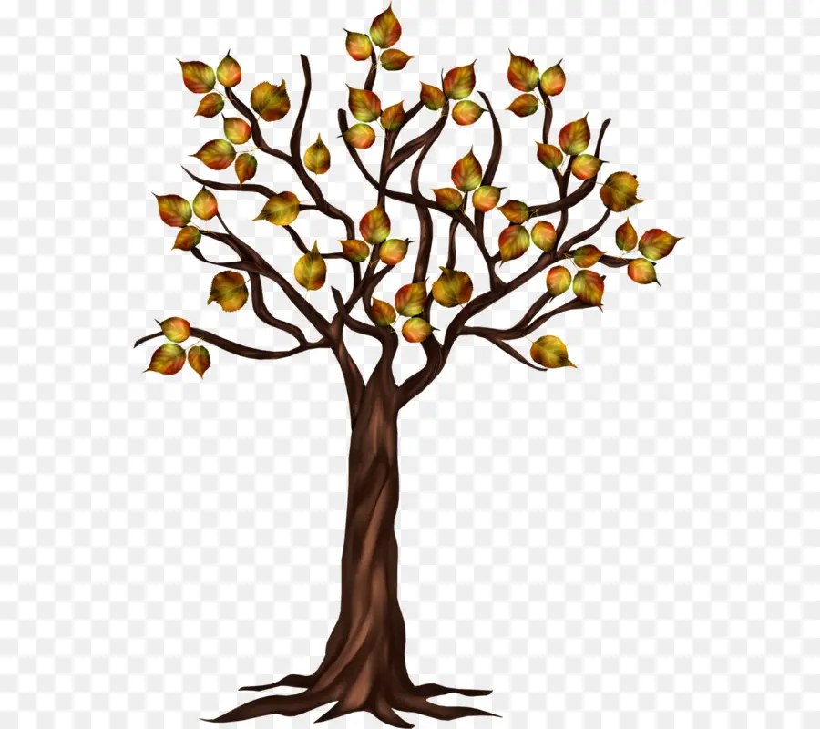 Arbre，Automne PNG