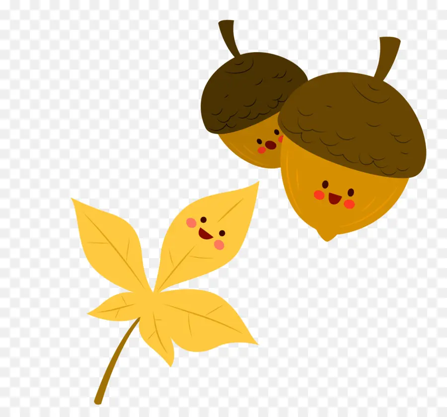 Glands，Feuille PNG