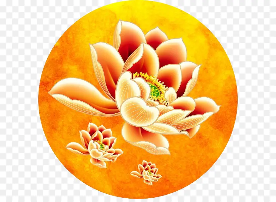 Lotus Orange，Fleurir PNG