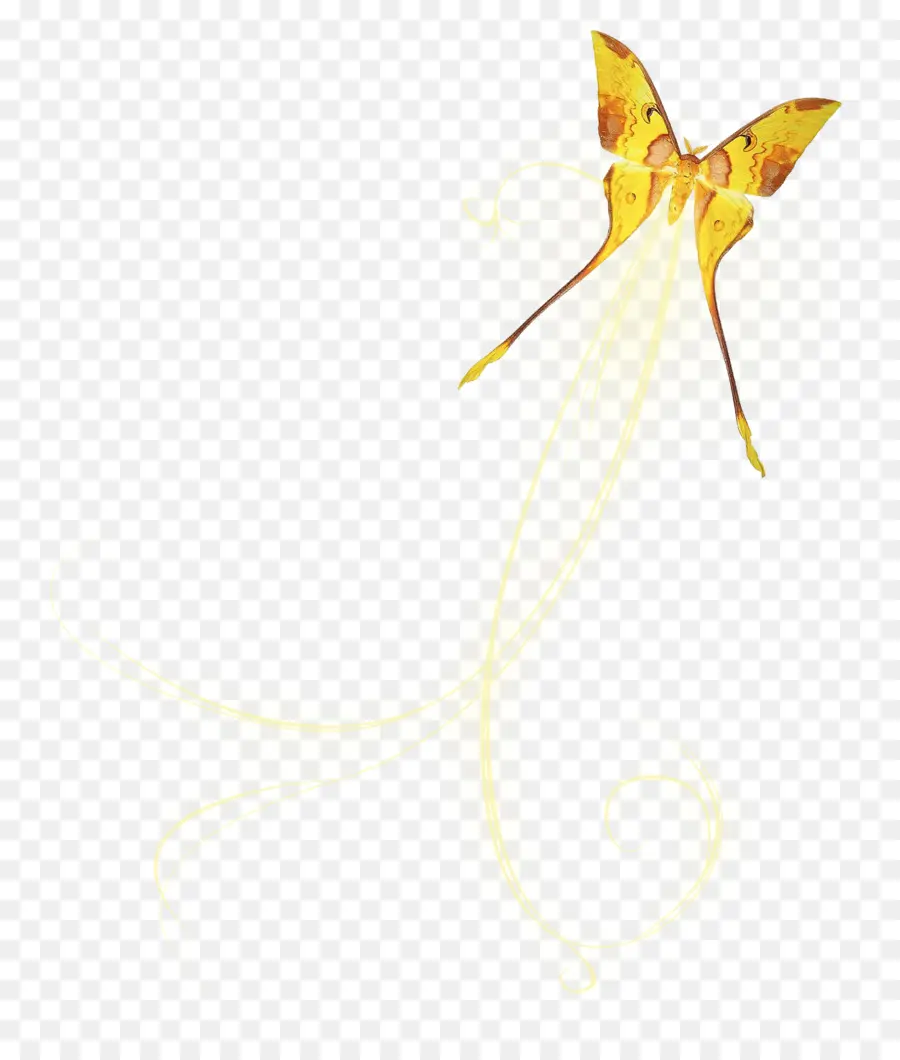 Papillon Jaune，Aquarelle PNG