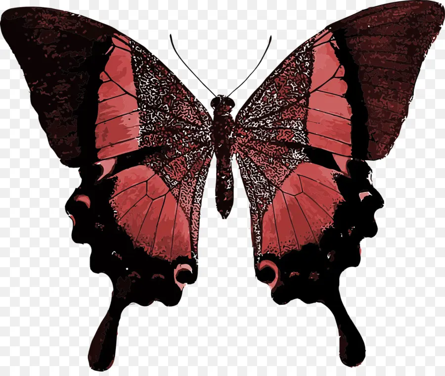 Papillon Rouge，Insecte PNG