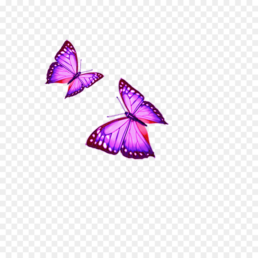 Papillons，Ailes PNG