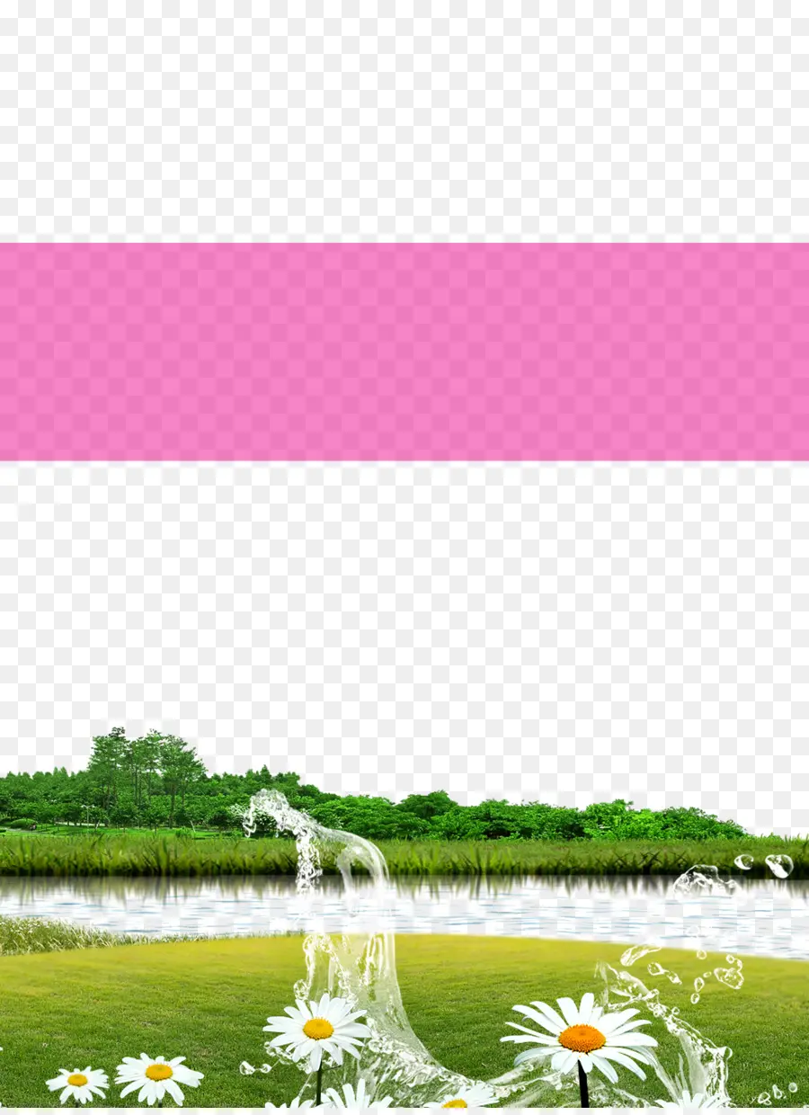 Scène Naturelle Avec De L'eau，Fleurs PNG