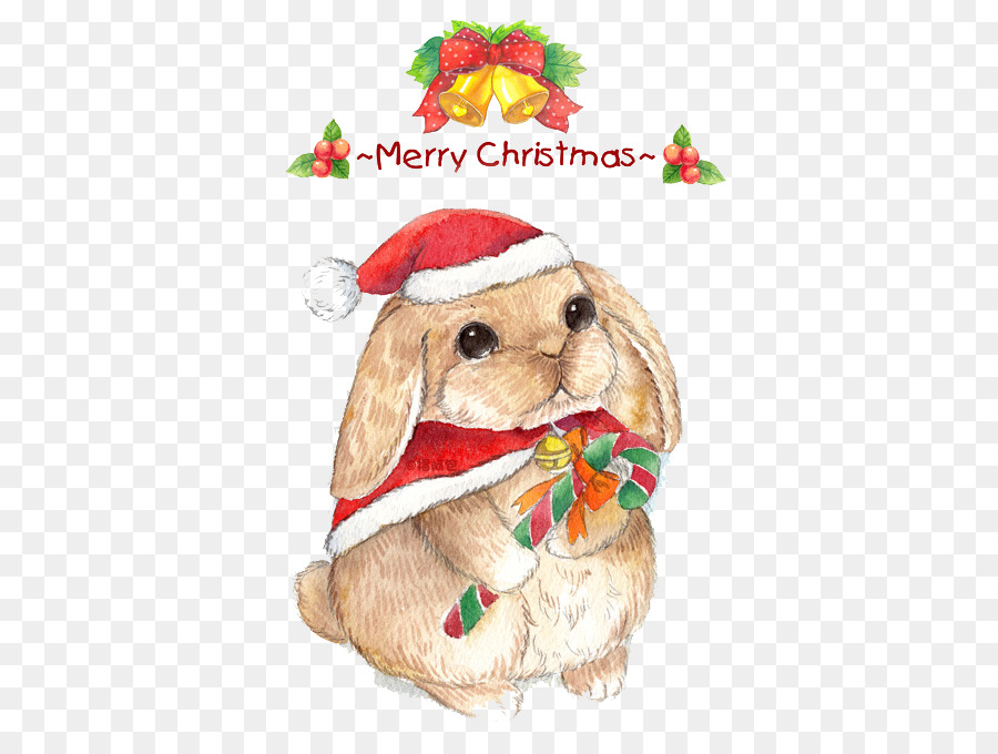 Lapin De Noël，Chapeau De Père Noël PNG