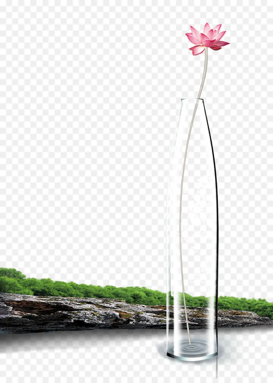 Vase，Fleur PNG