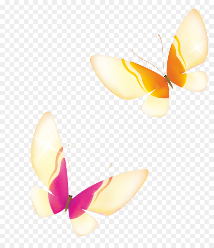 Papillons Blancs，Insectes PNG