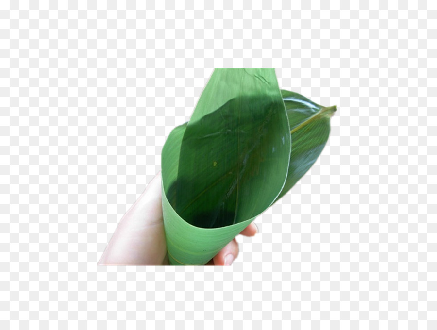 Feuille De Bananier，Vert PNG