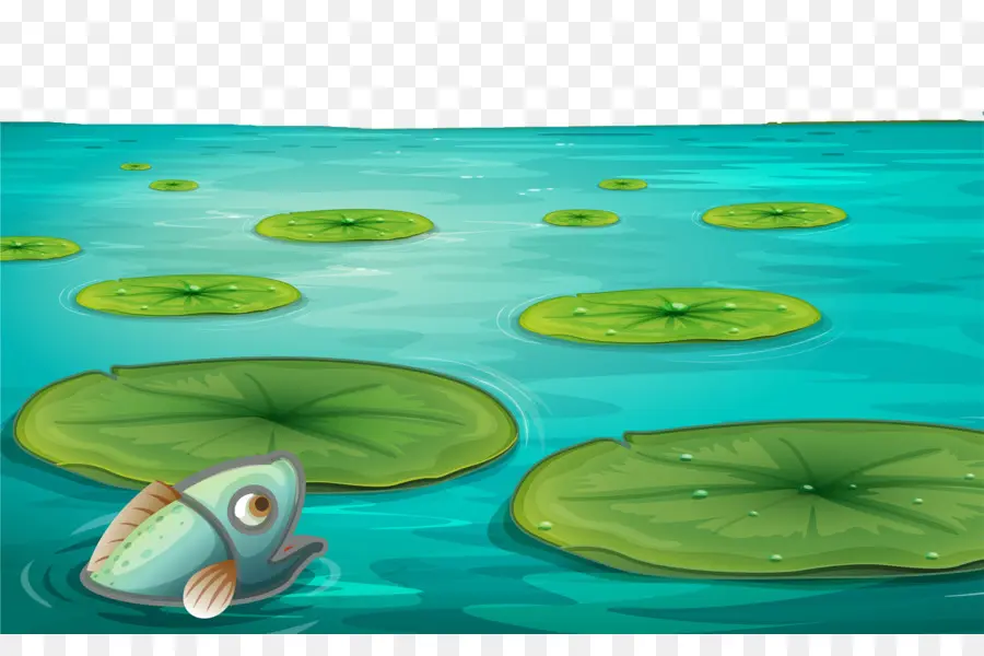 Poissons Et Nénuphars，Eau PNG