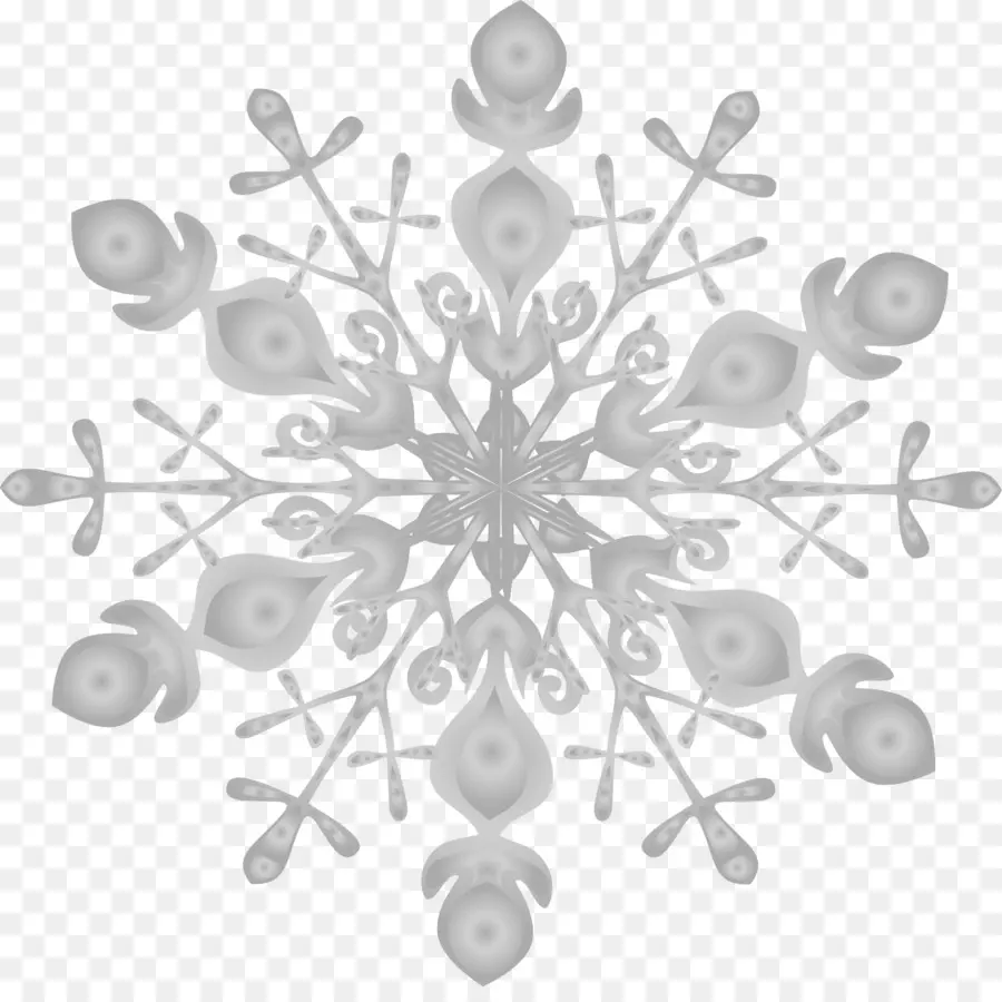 Flocon De Neige，Hiver PNG